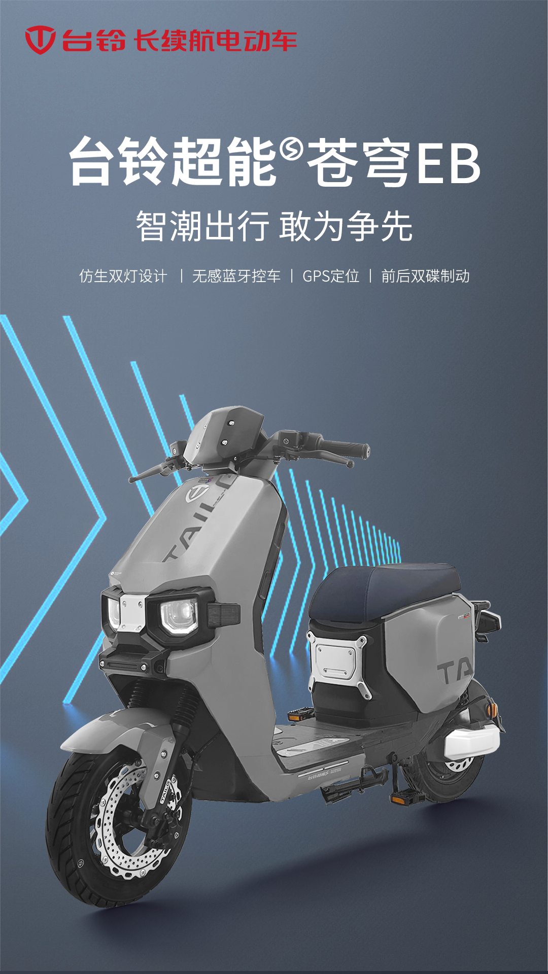 台铃长续航电动车