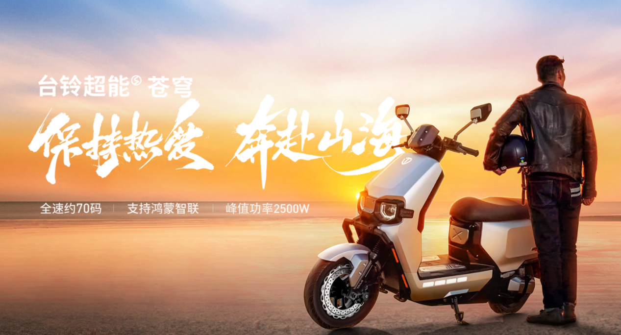 台铃长续航电动车
