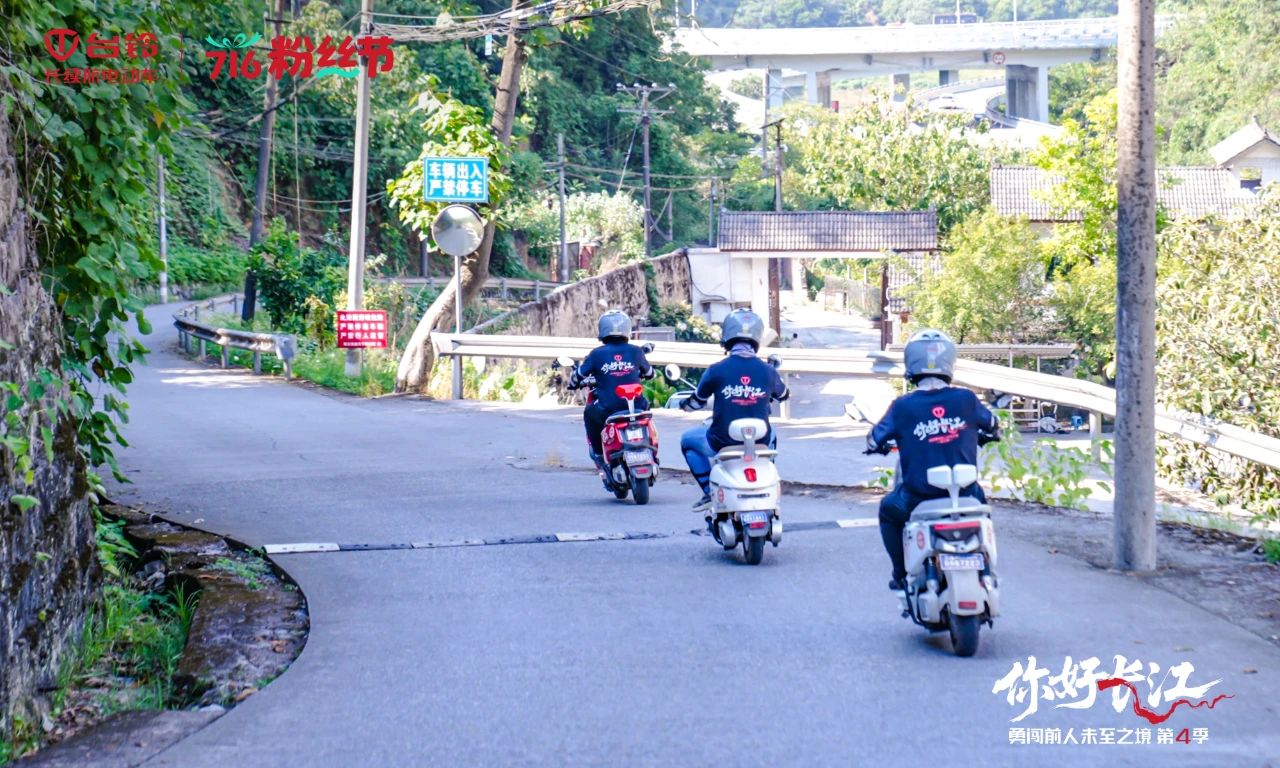 台铃6.jpg